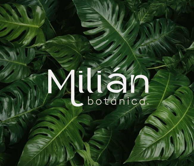 Branding Milián Botánica